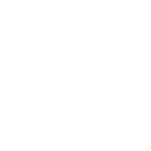 kundenlogos_0000s_0008_renault