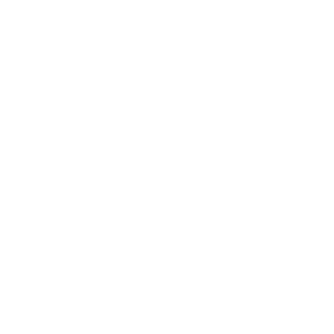 kundenlogos_0000s_0009_citroen