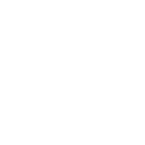 kundenlogos_0000s_0032_toyota