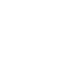 kundenlogos_0000s_0034_andritz